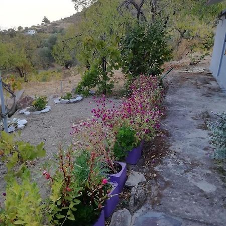 Myrovolos Villa Armenistis  Esterno foto