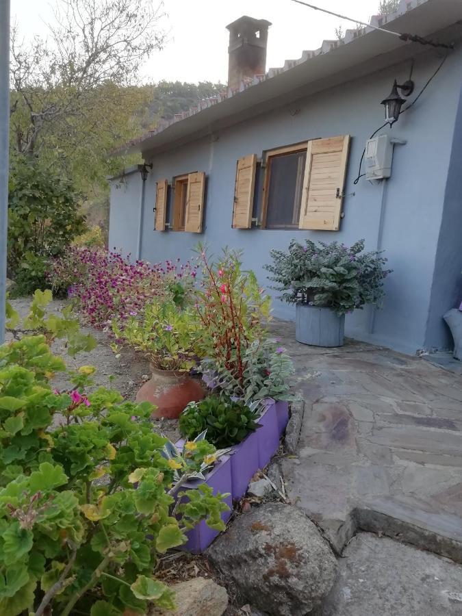 Myrovolos Villa Armenistis  Esterno foto